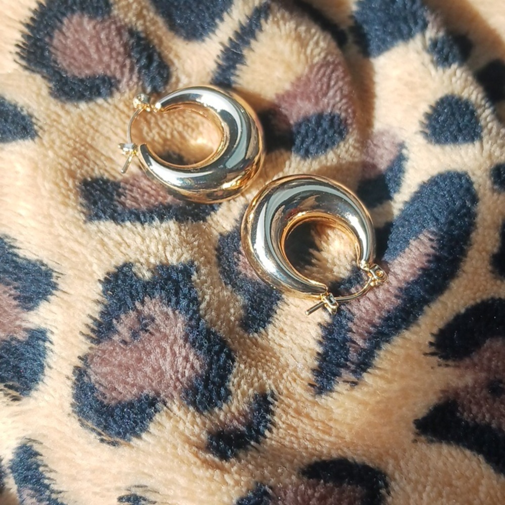Polished Gold 14 K Plated Earrings